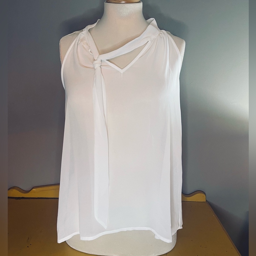 Forever21 Contemporary Sheer Blouse